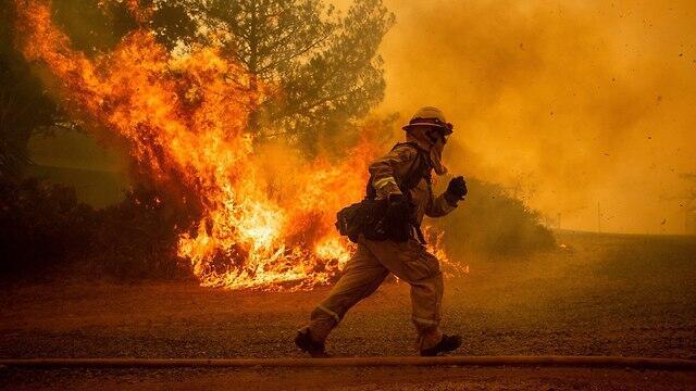 Пожар в Калифорнии. Фото: AFP