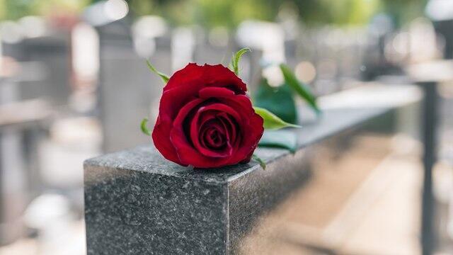 Фото: shutterstock (צילום: shutterstock) Фото: shutterstock