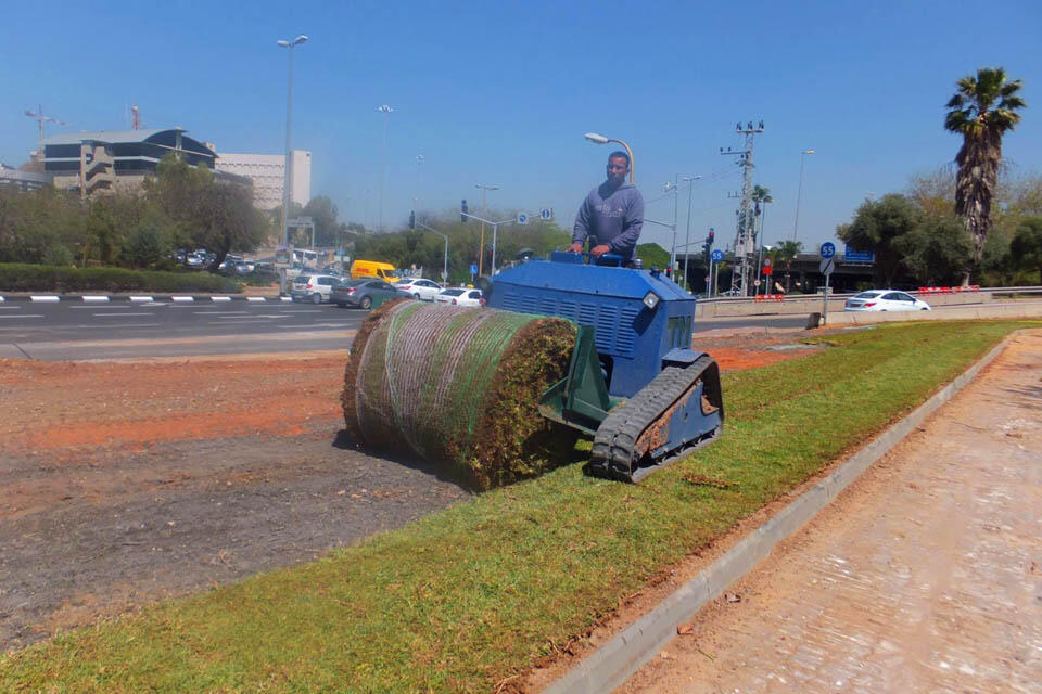 За один день пустырь превращается в зеленый газон. Фото: Леон Левитас
