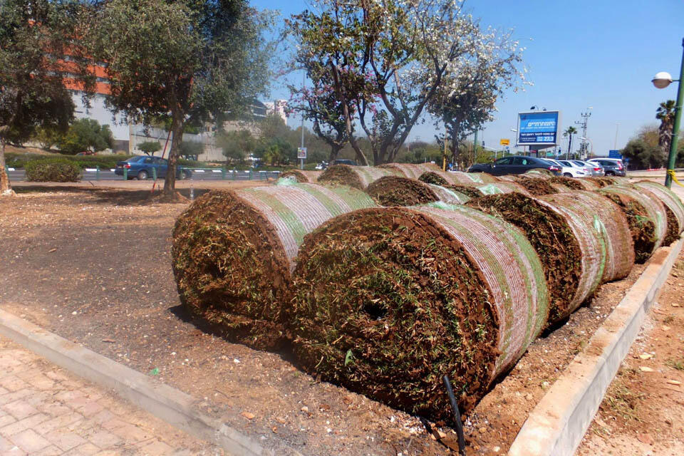 Фото: Леон Левитас