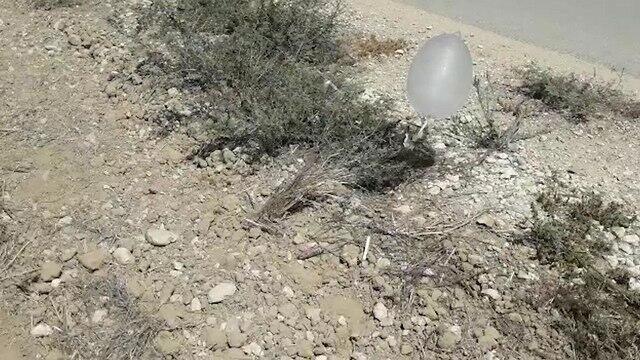 Шар, приземлившийся в Шеар ха-Негеве