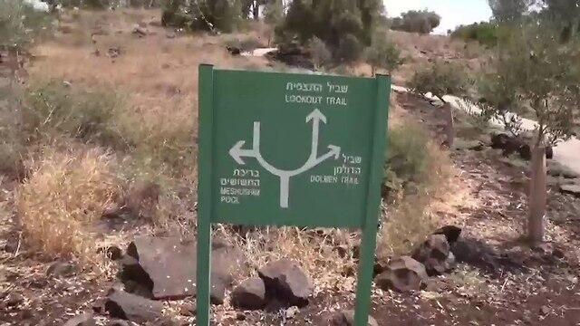 Фото: Авиягу Шапира (צילום: אביהו שפירא) Фото: Авиягу Шапира