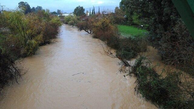 Река Иордан. Фото: Эфи Шарир (צילום: אפי שריר) Река Иордан. Фото: Эфи Шарир