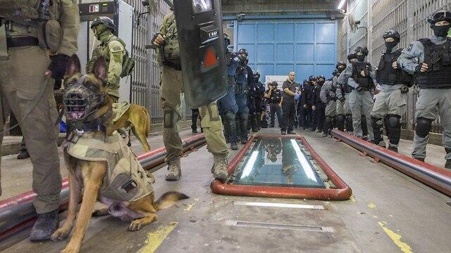 Спецназ в тюрьме "Гильбоа". Фото: Идо Эрез