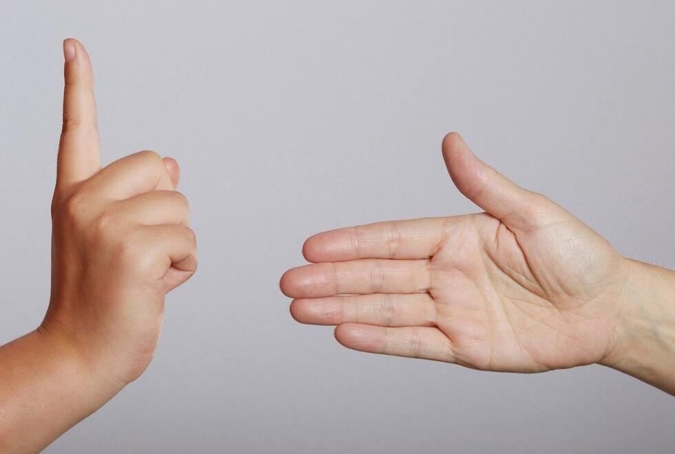 Фото: shutterstock (צילום: shutterstock) Фото: shutterstock