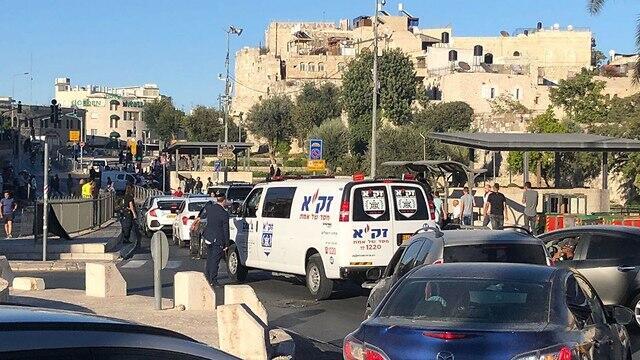 Фото: Ави С.