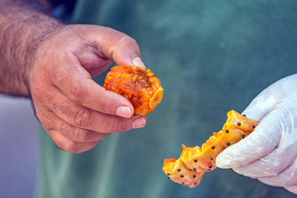 Фото: shutterstock (Фото: shutterstock) Фото: shutterstock