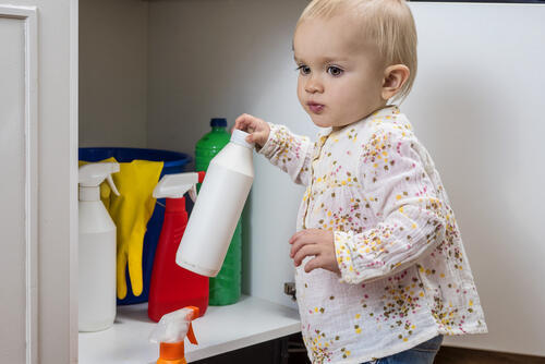 Фото: shutterstock