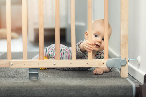 Фото: shutterstock