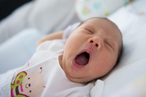 Фото: shutterstock (Фото: shutterstock) Фото: shutterstock