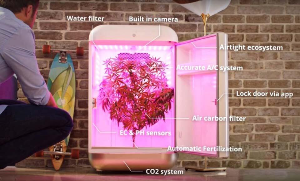 Робот для выращивания марихуаны. Фото: Seedo