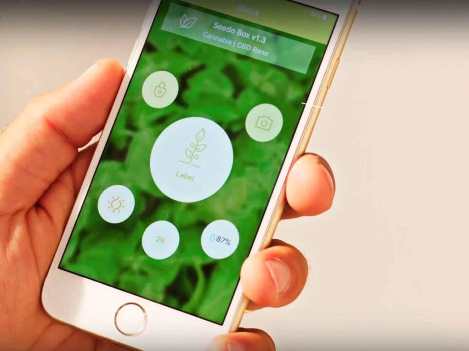  Информацию о процессе роста куста робот посылает на смартфон. Фото: Seedo