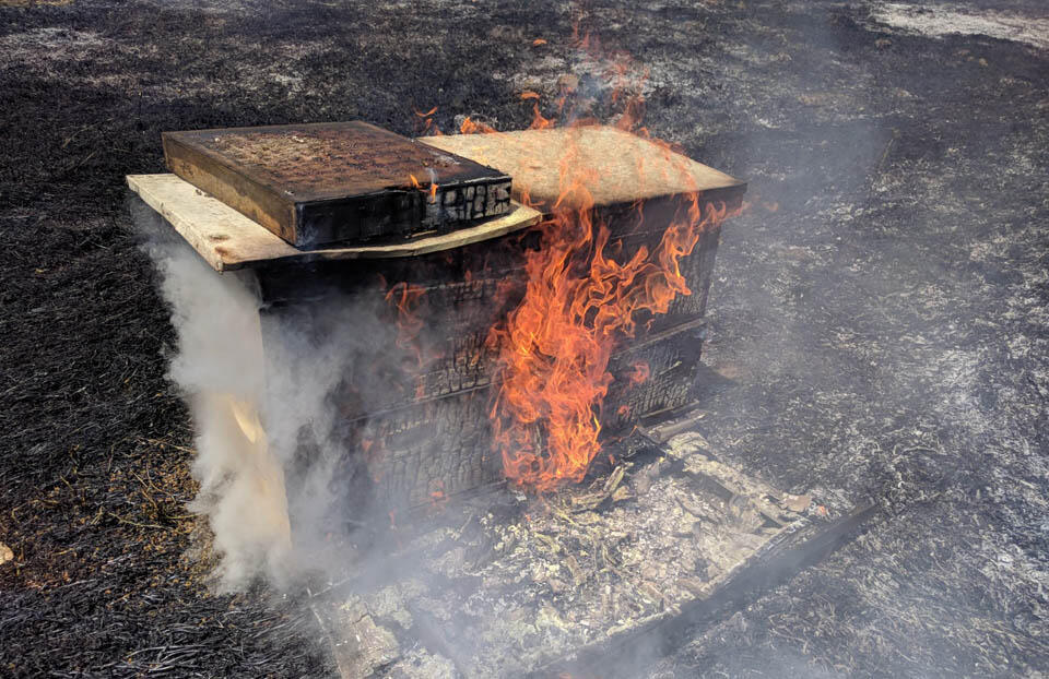 Горящий улей на юге Израиля. Фото: пресс-служба Совета израильских пчеловодов