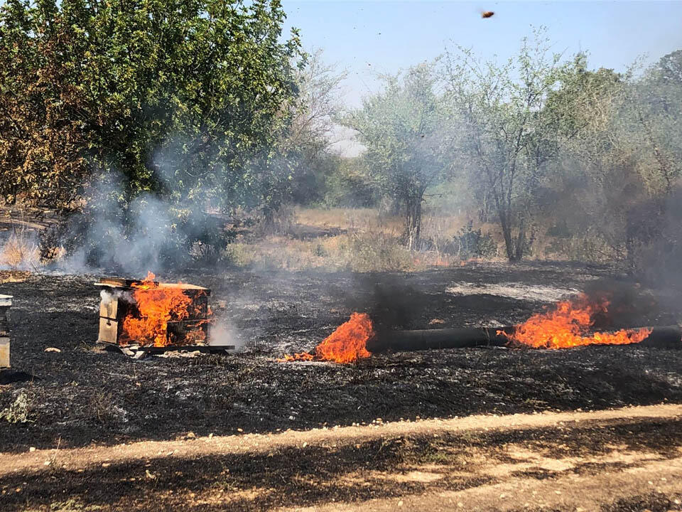  Горящие пасеки на границе с Газой. Фото: пресс-служба