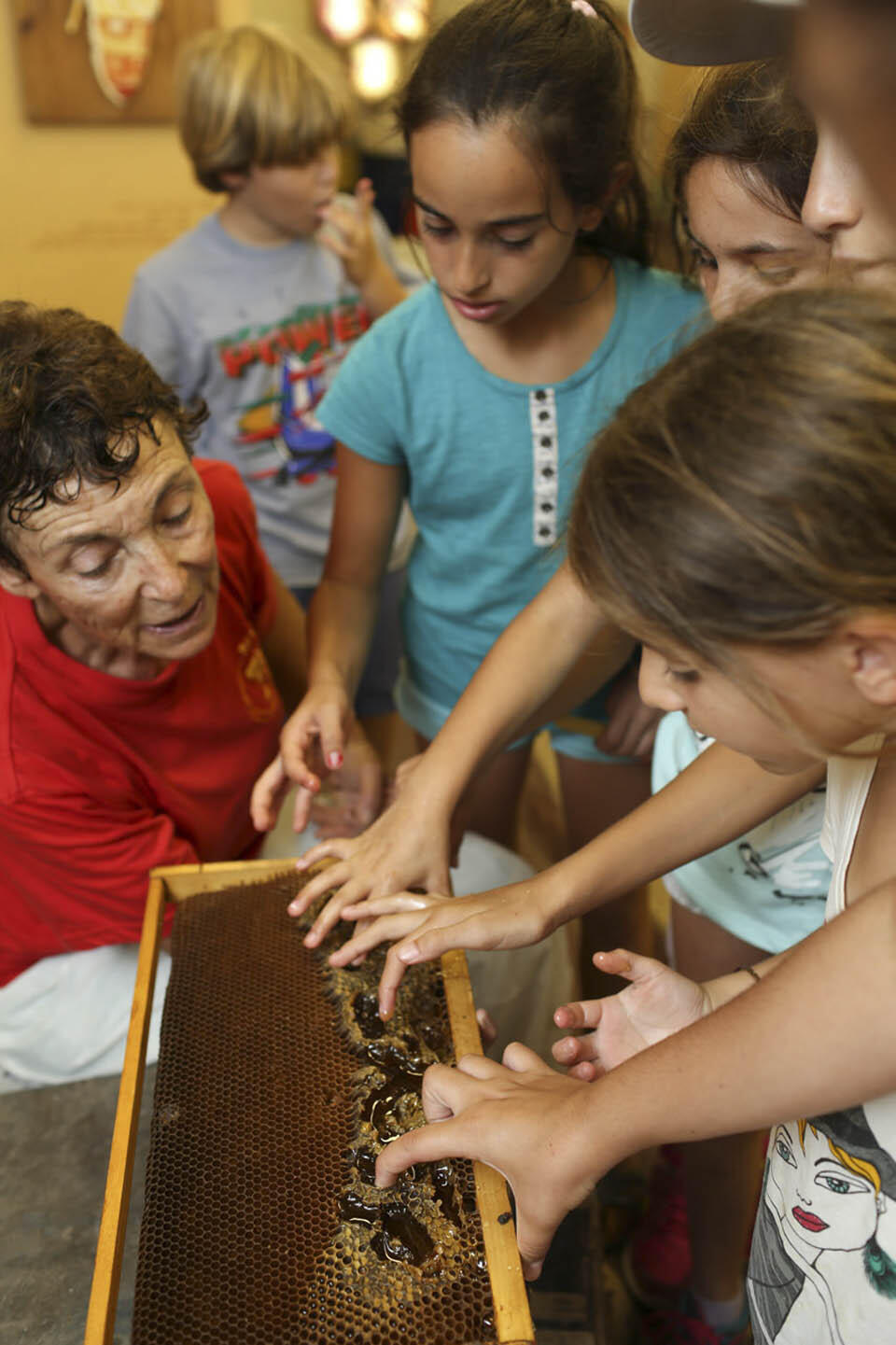 Фото: пресс-служба Совета израильских пчеловодов