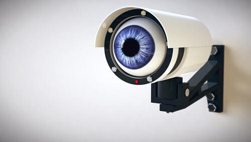 Фото: shutterstock
