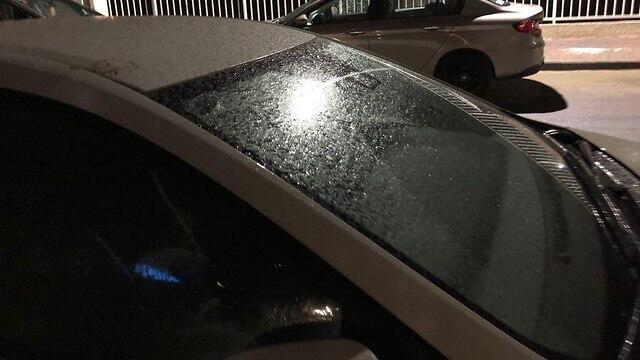 Фото: Гай Леви (צילום: גיא לוי ) Фото: Гай Леви