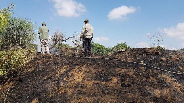Фото: пресс-служба ККЛ
