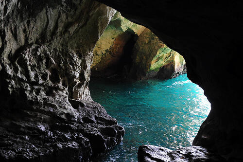 Фото: shuterstock