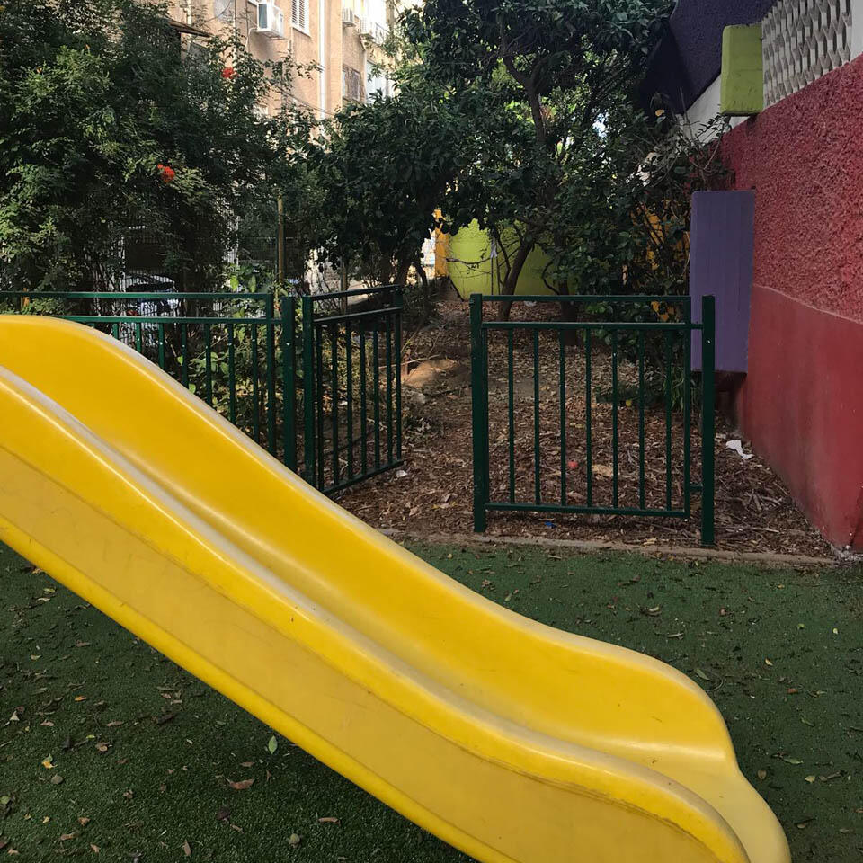 Фото: Даяна Медведев (Фото: Даяна Медведев) Фото: Даяна Медведев