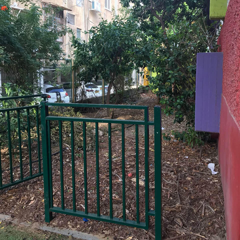 Фото: Даяна Медведев (Фото: Даяна Медведев) Фото: Даяна Медведев