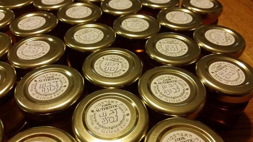 Ладанный мед. Фото: Гай Эрлих (צילום: גיא ארליך) Ладанный мед. Фото: Гай Эрлих