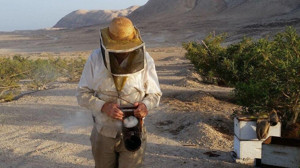 Так получают мед. Фото: Гай Эрлих (צילום: גיא ארליך) Так получают мед. Фото: Гай Эрлих