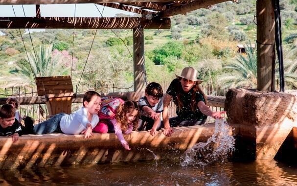 В заповеднике Неот-Кдумим. Фото: Эльдад Маэстро (Фото: Эльдад Маэстро) В заповеднике Неот-Кдумим. Фото: Эльдад Маэстро