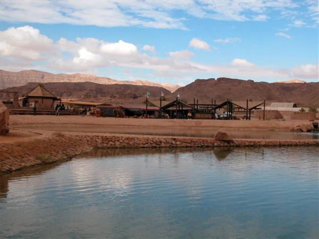 В заповеднике Тимна. Фото: пресс-служба ККЛ (Фото: пресс-служба ККЛ) В заповеднике Тимна. Фото: пресс-служба ККЛ