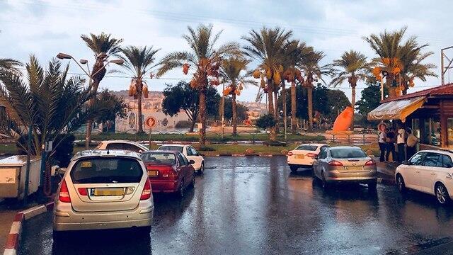 Дождь в Вади-Ара. Фото: Тамер Сидауи (צילום: תאמר סידאוי) Дождь в Вади-Ара. Фото: Тамер Сидауи