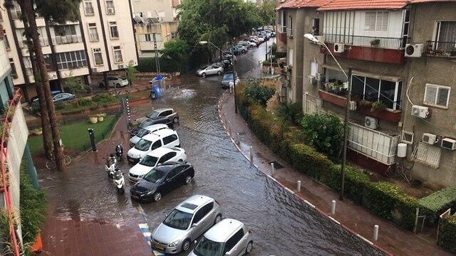 Додь в Рамат-Гане. Фото: Оз Гольдштейн (צילום: עוז גולדשטיין) Додь в Рамат-Гане. Фото: Оз Гольдштейн