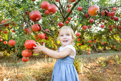 Фото: shutterstock