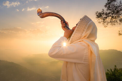 Фото: shutterstock