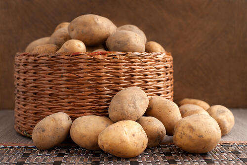 Фото: shutterstock