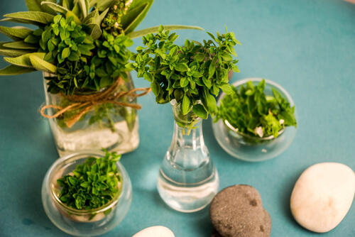 Фото: shutterstock