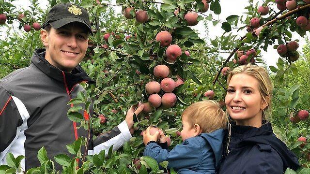 Семейство на природе. Фото: Twitter (צילום: טוויטר) Семейство на природе. Фото: Twitter
