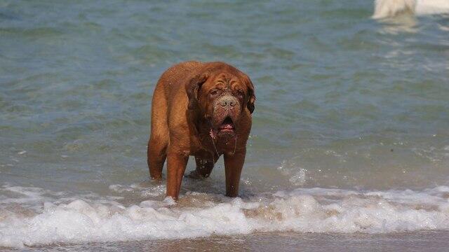 Фото: Моти Кимхи