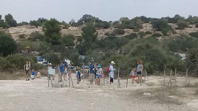 Фото: Барэль Эфраим