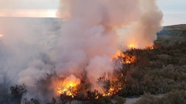 Пожар в заповеднике Эйнот-Цуким. Фото: пресс-служба Совета Иудеи и Самарии (צילום: דוברות כב"ה מחוז יו"ש) Пожар в заповеднике Эйнот-Цуким. Фото: пресс-служба Совета Иудеи и Самарии