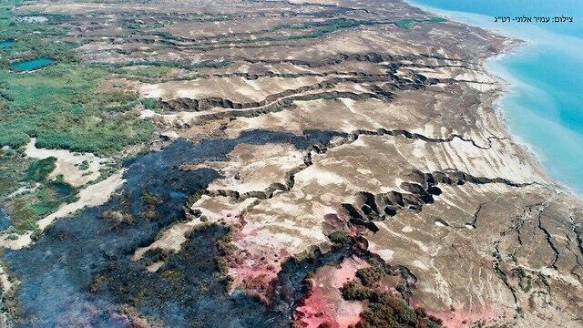 Damage to the nature reserve
