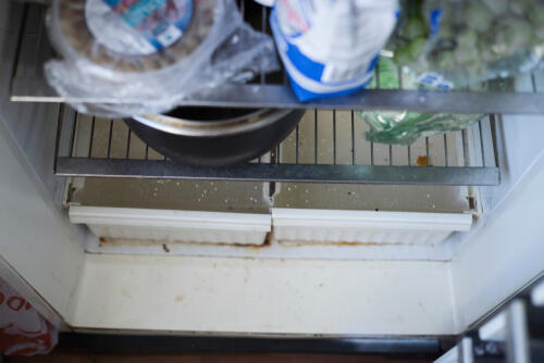 Фото: shutterstock (Фото: shutterstock) Фото: shutterstock