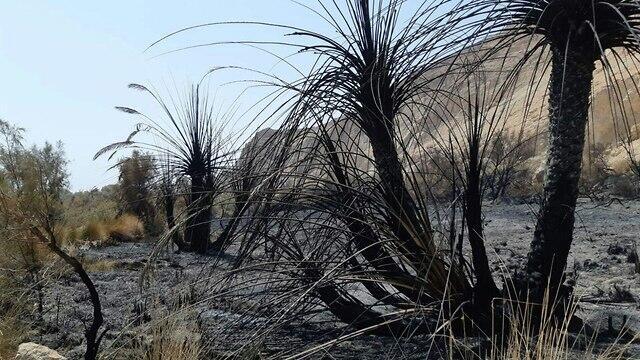 Fire damage