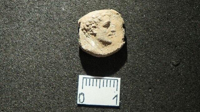 Фото: Асаф Штерн (צילום: אסף שטרן) Фото: Асаф Штерн