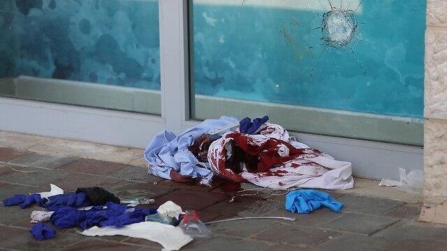 Место теракта. Фото: Алекс Коломойский (צילום: אלכס קולומויסקי) Место теракта. Фото: Алекс Коломойский