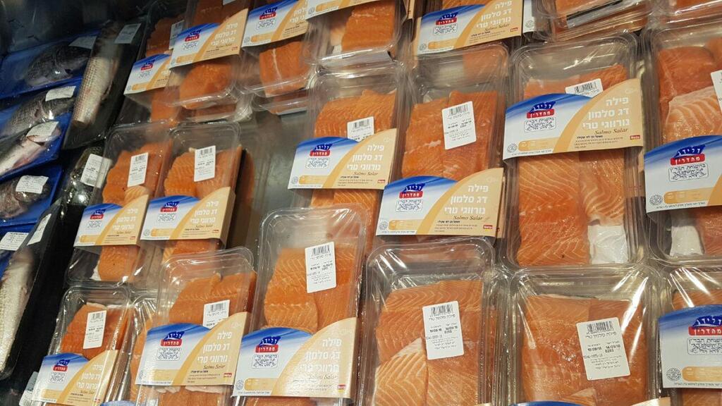 Норвежский лосось. Архив (Фото: Мейрав Кристал) סלמון נורבגי נורווגי נטו