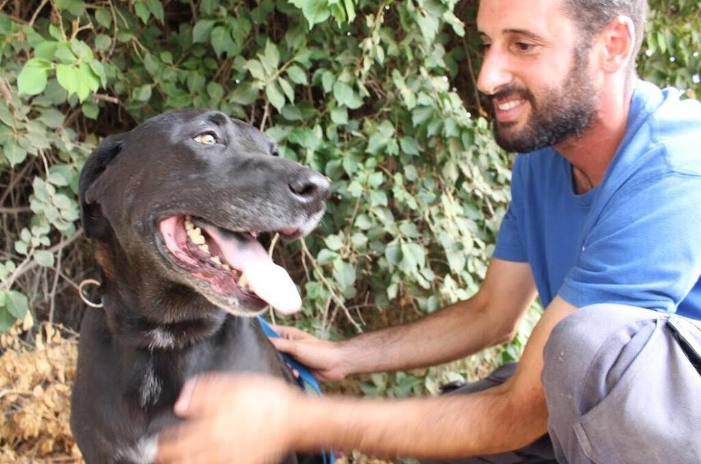 Пепси. Фото: "Тну ле-хайот лихьот" (Фото: "Тну ле-хайот лихьот") Пепси. Фото: "Тну ле-хайот лихьот"