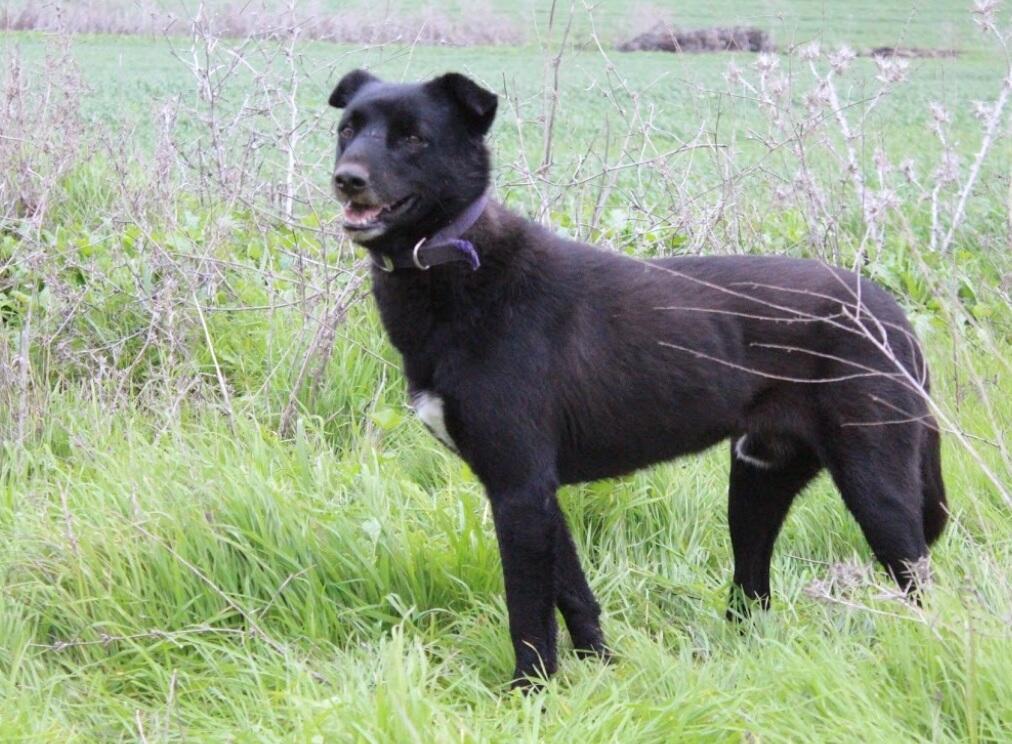 Саймон. Фото: "Тну ле-хайот лихьот" (Фото: "Тну ле-хайот лихьот") Саймон. Фото: "Тну ле-хайот лихьот"