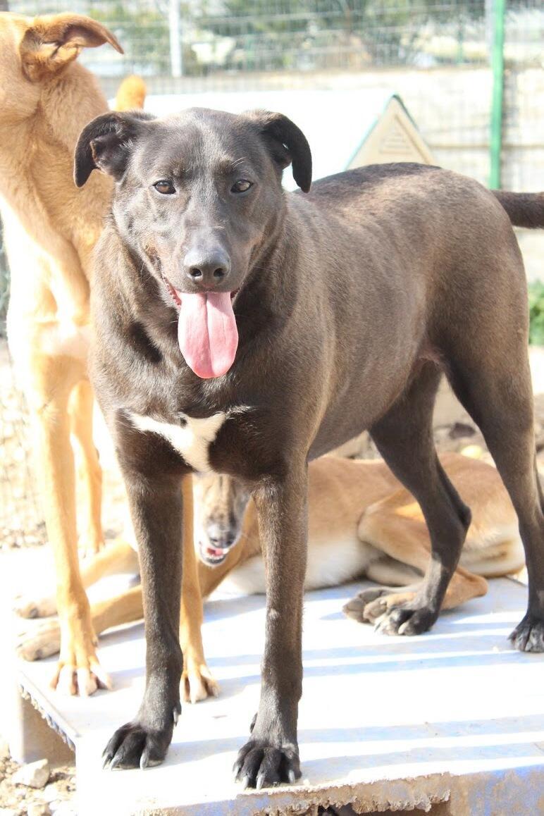 Альфи. Фото: "Тну ле-хайот лихьот" (Фото: "Тну ле-хайот лихьот") Альфи. Фото: "Тну ле-хайот лихьот"