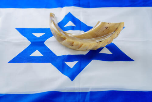 Фото: shutterstock (Фото: shutterstock) Фото: shutterstock