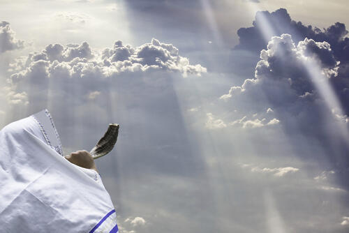 Фото: shutterstock (Фото: shutterstock) Фото: shutterstock